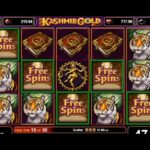 Slot yang Bisa Dimainkan dengan Teman Secara Online